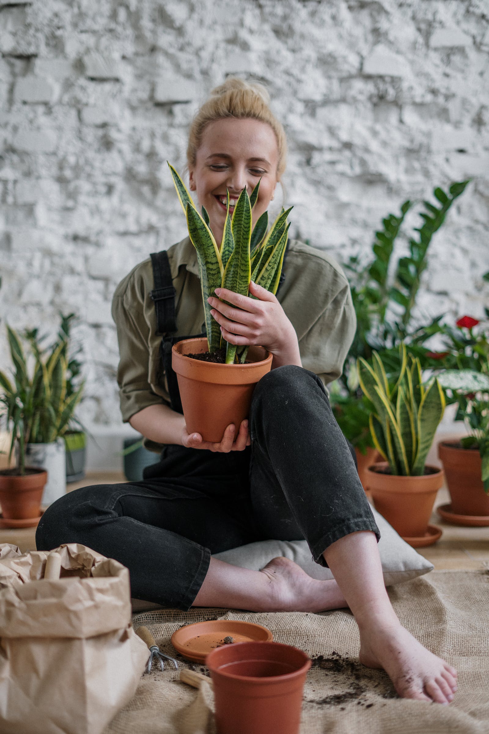 woman holding a pot plant